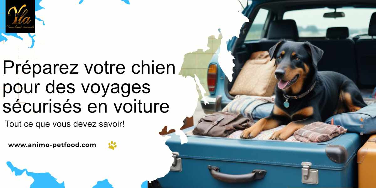 Préparer votre chien pour un voyage en voiture